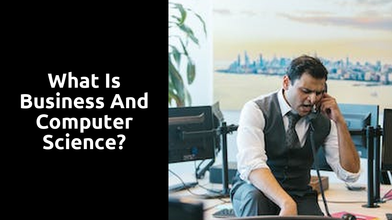 What is business and computer science?